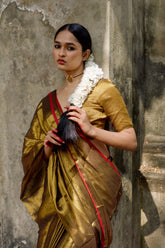 Mayura I Metallic Gold Handloom Tissue Saree