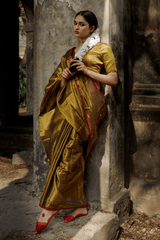 Mayura I Metallic Gold Handloom Tissue Saree