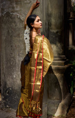 Mayura I Metallic Gold Handloom Tissue Saree